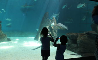 acquario di genova