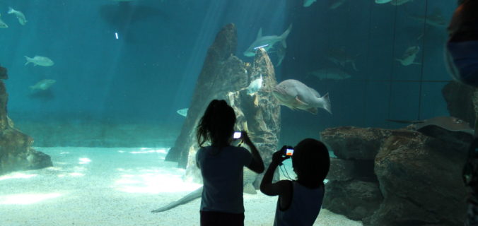 acquario di genova